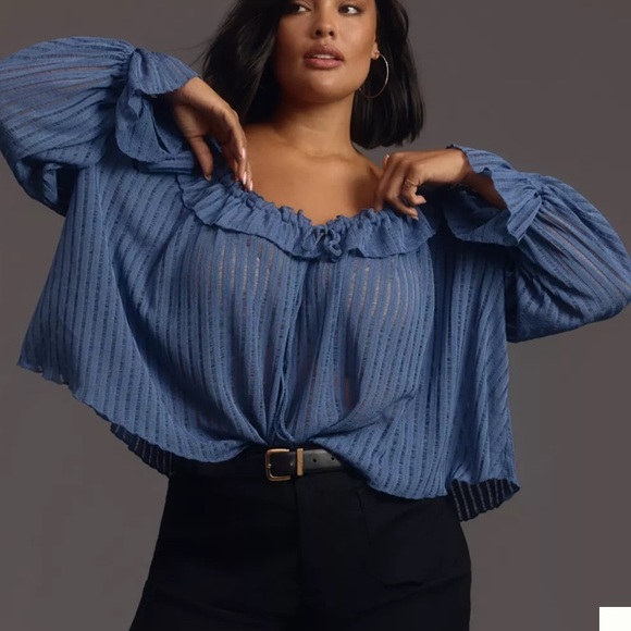 Anthropologie Tops - Anthropologie long sleeve sheer striped crop blouse